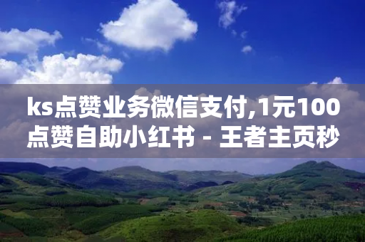 ks点赞业务微信支付,1元100点赞自助小红书 - 王者主页秒赞网 - 抖音怎么一次性取消全部喜欢-第1张图片-靖非智能科技传媒