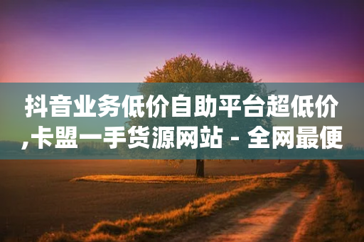 抖音业务低价自助平台超低价,卡盟一手货源网站 - 全网最便宜快手业务网站 - dy自助平台业务下单真人-第1张图片-靖非智能科技传媒