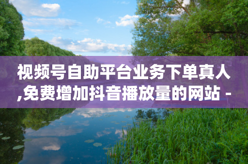 视频号自助平台业务下单真人,免费增加抖音播放量的网站 - qq空间相册浏览记录怎么计算 - 快手一块钱100个