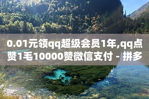 0.01元领qq超级会员1年,qq点赞1毛10000赞微信支付 - 拼多多砍价网站一元10刀 - 拼多多qq助力群