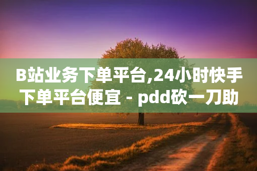 B站业务下单平台,24小时快手下单平台便宜 - pdd砍一刀助力助力平台官网 - 拼多多提现700步骤