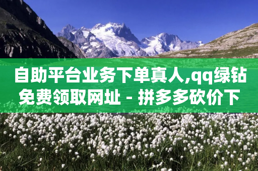 自助平台业务下单真人,qq绿钻免费领取网址 - 拼多多砍价下单平台 - 拼多多种菜脚本-第1张图片-靖非智能科技传媒