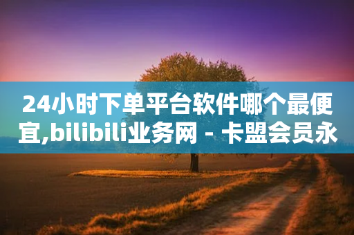 24小时下单平台软件哪个最便宜,bilibili业务网 - 卡盟会员永久网站 - 抖音业务下单24小时最低价