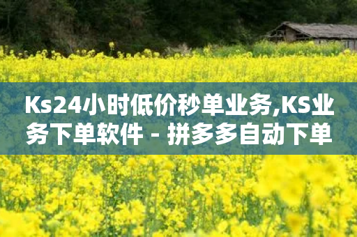 Ks24小时低价秒单业务,KS业务下单软件 - 拼多多自动下单软件下载 - 如何退出淘宝亲情账号-第1张图片-靖非智能科技传媒