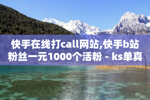 快手在线打call网站,快手b站粉丝一元1000个活粉 - ks单真人粉丝 - 业务网24小时自助下单科技-第1张图片-靖非智能科技传媒