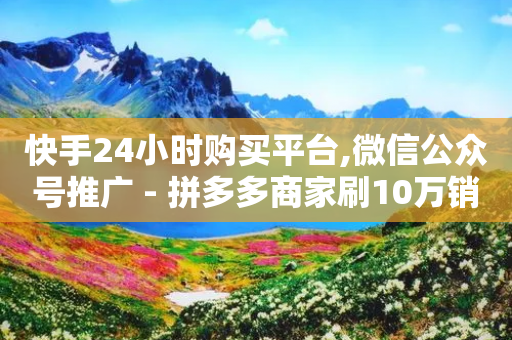 快手24小时购买平台,微信公众号推广 - 拼多多商家刷10万销量 - 60助手拼多多助力-第1张图片-靖非智能科技传媒