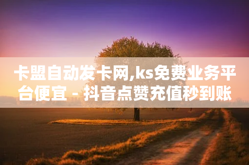 卡盟自动发卡网,ks免费业务平台便宜 - 抖音点赞充值秒到账 - 快手评论自助平台自定义评论