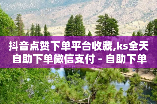 抖音点赞下单平台收藏,ks全天自助下单微信支付 - 自助下单全网最低价ks - 抖音业务低价自助平台超低价-第1张图片-靖非智能科技传媒