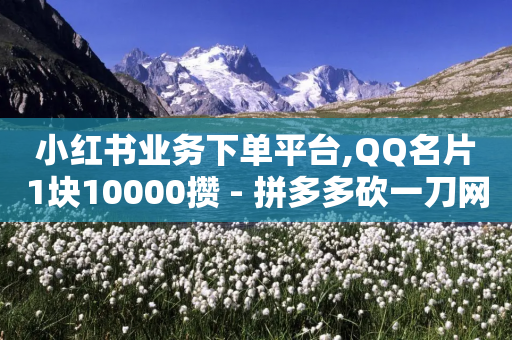 小红书业务下单平台,QQ名片1块10000攒 - 拼多多砍一刀网站 - 拼多多不小心买了19返现-第1张图片-靖非智能科技传媒