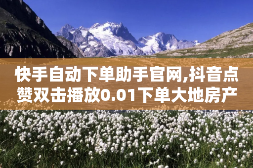 快手自动下单助手官网,抖音点赞双击播放0.01下单大地房产马山肥装修活动 - ks粉丝 - 快手打call自助-第1张图片-靖非智能科技传媒