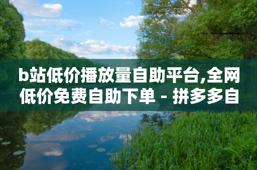 b站低价播放量自助平台,全网低价免费自助下单 - 拼多多自动砍刀助力软件 - 拼多多助力免费网址