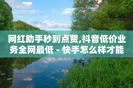 网红助手秒到点赞,抖音低价业务全网最低 - 快手怎么样才能不掉粉丝 - ks免费业务平台不掉