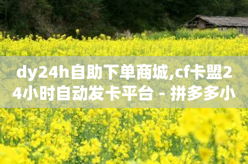 dy24h自助下单商城,cf卡盟24小时自动发卡平台 - 拼多多小号自助购买平台 - 多多驿站加盟官网电话号码-第1张图片-靖非智能科技传媒