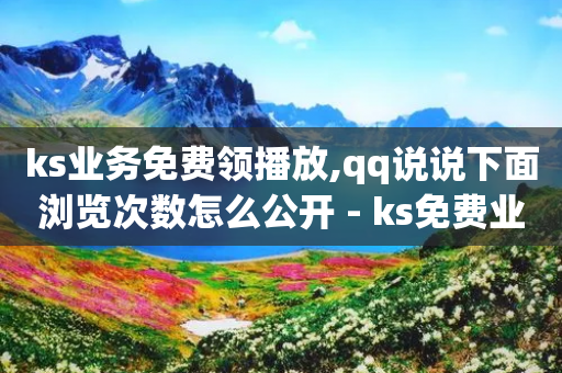 ks业务免费领播放,qq说说下面浏览次数怎么公开 - ks免费业务平台云小店 - cf小号购买平台-第1张图片-靖非智能科技传媒