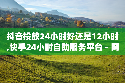 抖音投放24小时好还是12小时,快手24小时自助服务平台 - 网红助手24小时免费下单 - 免费领取qq说说赞20个-第1张图片-靖非智能科技传媒