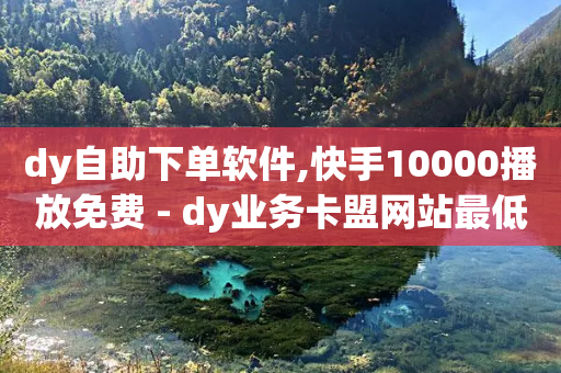 dy自助下单软件,快手10000播放免费 - dy业务卡盟网站最低价 - 自助平台