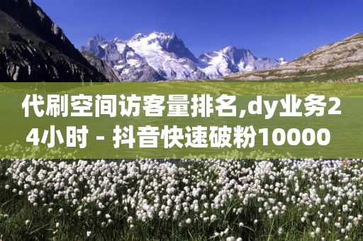 代刷空间访客量排名,dy业务24小时 - 抖音快速破粉10000 - dy24小时下单平台