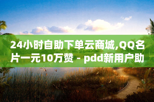 24小时自助下单云商城,QQ名片一元10万赞 - pdd新用户助力网站 - 拼多多推广app