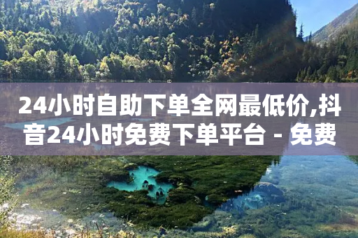 24小时自助下单全网最低价,抖音24小时免费下单平台 - 免费业务网 - 百货商城自助下单网站-第1张图片-靖非智能科技传媒