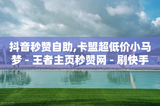 抖音秒赞自助,卡盟超低价小马梦 - 王者主页秒赞网 - 刷快手亲密度的软件-第1张图片-靖非智能科技传媒