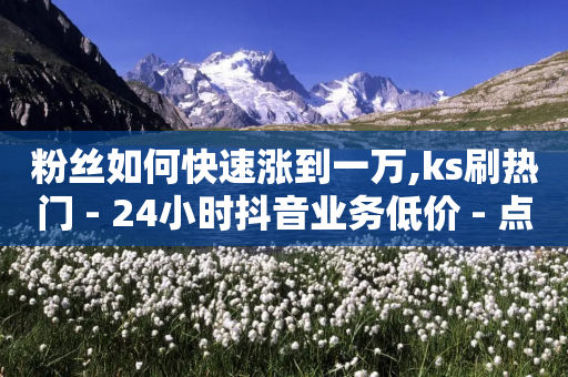 粉丝如何快速涨到一万,ks刷热门 - 24小时抖音业务低价 - 点赞免费领取