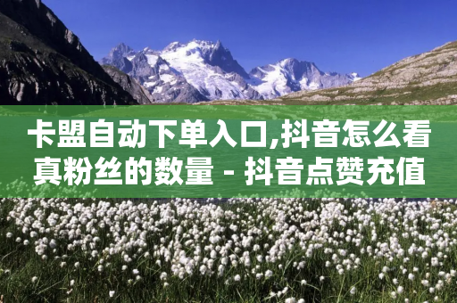 卡盟自动下单入口,抖音怎么看真粉丝的数量 - 抖音点赞充值10个 - 拼多多访客流量软件