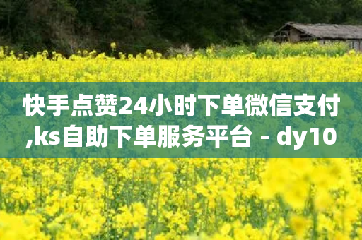 快手点赞24小时下单微信支付,ks自助下单服务平台 - dy10元一千粉 - 抖音业务下单24小时秒到账-第1张图片-靖非智能科技传媒