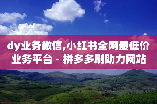 dy业务微信,小红书全网最低价业务平台 - 拼多多刷助力网站哪个可靠 - 发起拼单和去拼单价格一样吗