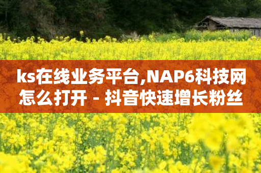 ks在线业务平台,NAP6科技网怎么打开 - 抖音快速增长粉丝的软件 - 抖音点赞双击播放0.01下单大地房产马山肥装修活动