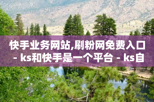 快手业务网站,刷粉网免费入口 - ks和快手是一个平台 - ks自助下单服务平台秒到帐