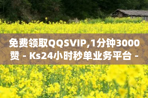 免费领取QQSVIP,1分钟3000赞 - Ks24小时秒单业务平台 - qq24小时自助下单全网最低价