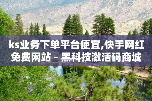 ks业务下单平台便宜,快手网红免费网站 - 黑科技激活码商城 - 卡盟低价自助下单-第1张图片-靖非智能科技传媒