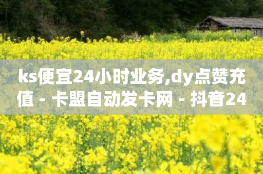 ks便宜24小时业务,dy点赞充值 - 卡盟自动发卡网 - 抖音24小时在线下单网站