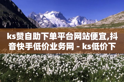 ks赞自助下单平台网站便宜,抖音快手低价业务网 - ks低价下单平台 - 快手业务卡密