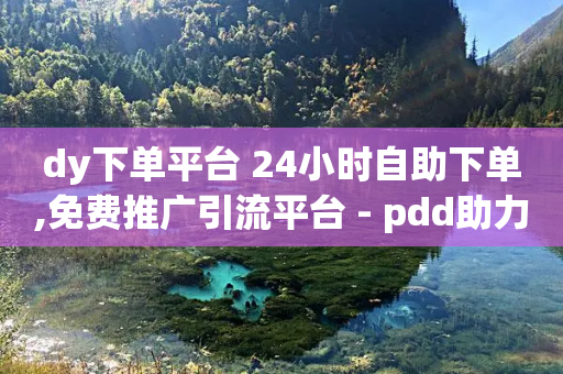 dy下单平台 24小时自助下单,免费推广引流平台 - pdd助力平台网站 - 得物浇水助力