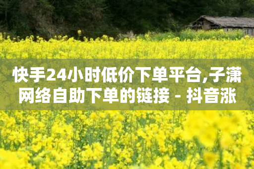 快手24小时低价下单平台,子潇网络自助下单的链接 - 抖音涨流量网站 - 抖音快手业务自助