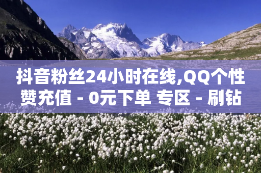 抖音粉丝24小时在线,QQ个性赞充值 - 0元下单 专区 - 刷钻卡盟网站官方入口-第1张图片-靖非智能科技传媒