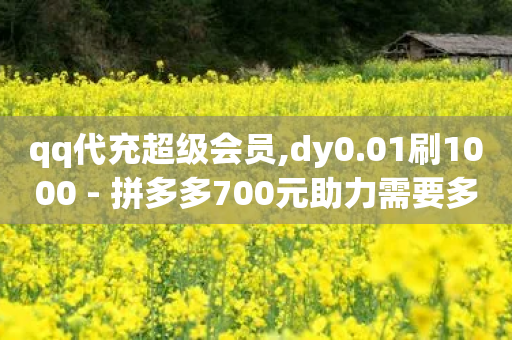 qq代充超级会员,dy0.01刷1000 - 拼多多700元助力需要多少人 - 哪里能买到pdd账号