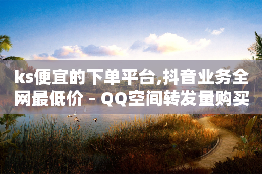 ks便宜的下单平台,抖音业务全网最低价 - QQ空间转发量购买平台 - 彩虹货源网