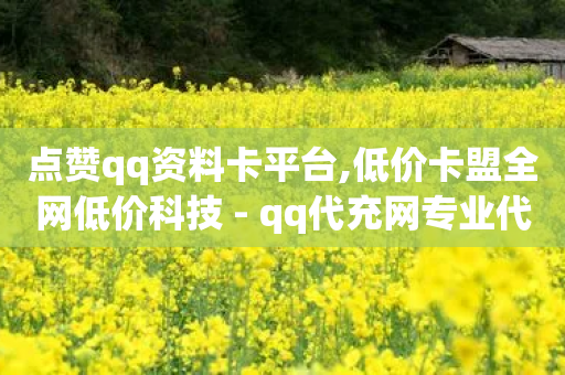 点赞qq资料卡平台,低价卡盟全网低价科技 - qq代充网专业代充平台 - 24小时在线下单平台网站