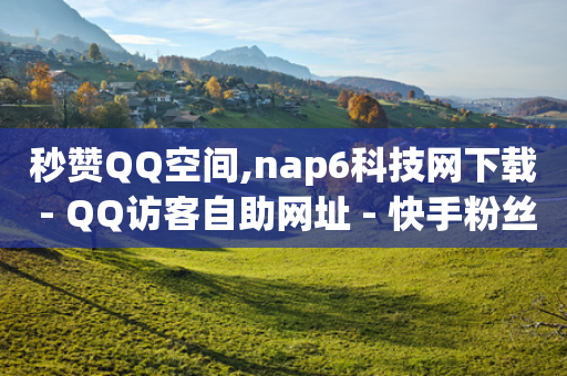 秒赞QQ空间,nap6科技网下载 - QQ访客自助网址 - 快手粉丝平台+永不掉粉