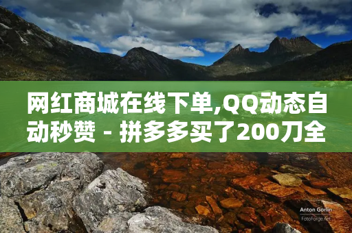 网红商城在线下单,QQ动态自动秒赞 - 拼多多买了200刀全被吞了 - 拼多多免费领5件助力-第1张图片-靖非智能科技传媒