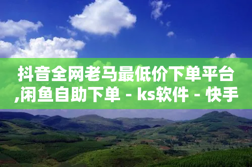 抖音全网老马最低价下单平台,闲鱼自助下单 - ks软件 - 快手24小时自助免费下单软件