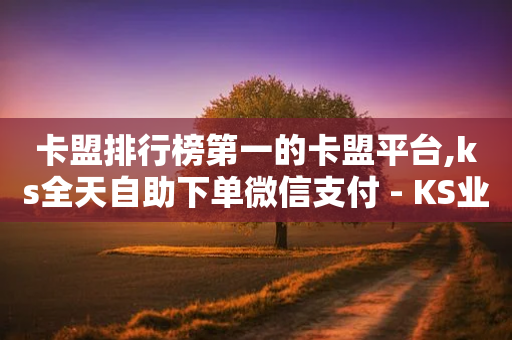 卡盟排行榜第一的卡盟平台,ks全天自助下单微信支付 - KS业务下载平台 - 24小时自动下单最低价-第1张图片-靖非智能科技传媒