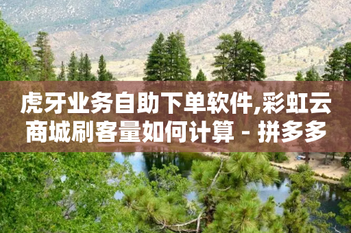 虎牙业务自助下单软件,彩虹云商城刷客量如何计算 - 拼多多700有人领到吗 - 拼多多坑商家的钱是真的吗