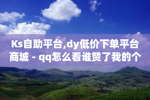 Ks自助平台,dy低价下单平台商城 - qq怎么看谁赞了我的个性标签 - 快手业务低价人机