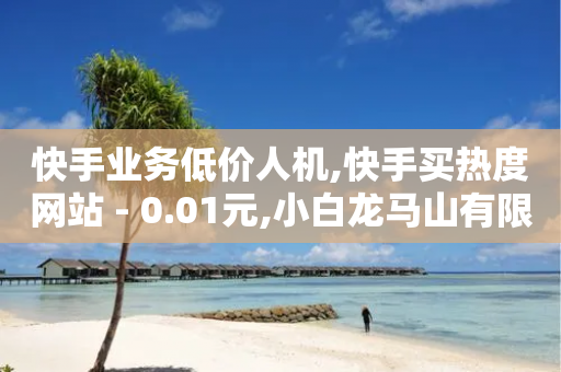 快手业务低价人机,快手买热度网站 - 0.01元,小白龙马山有限责任公司 - 抖音回森24小时免费下单平台 - 抖音快手24h自助-第1张图片-靖非智能科技传媒