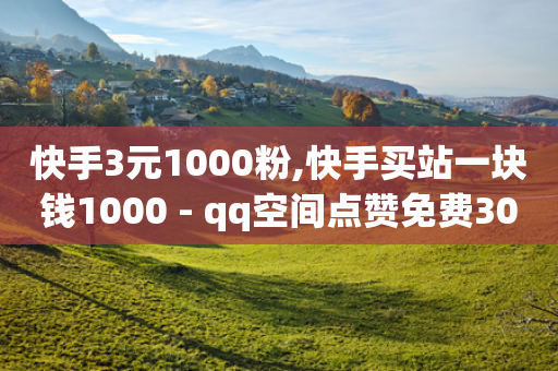 快手3元1000粉,快手买站一块钱1000 - qq空间点赞免费30个 - 子潇平台自助下单-第1张图片-靖非智能科技传媒