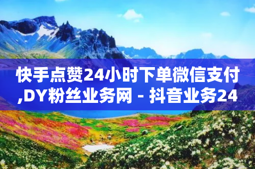 快手点赞24小时下单微信支付,DY粉丝业务网 - 抖音业务24小时在线下单免费 - ks免费业务平台云小店