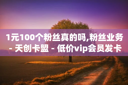 1元100个粉丝真的吗,粉丝业务 - 天创卡盟 - 低价vip会员发卡网-第1张图片-靖非智能科技传媒